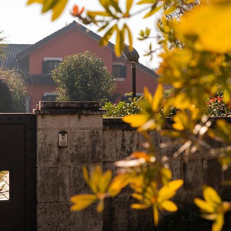 Villa Annamaria 卡西诺 外观 照片