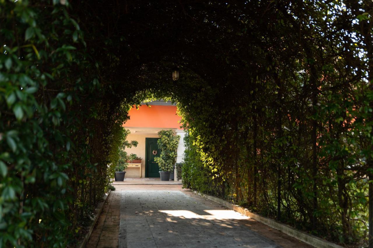 Villa Annamaria 卡西诺 外观 照片